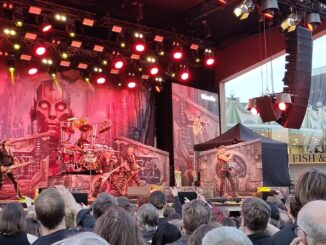 Accept på Gröna Lund