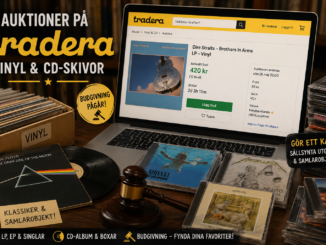 Auktioner på Tradera